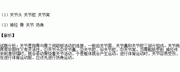 幼儿园体育游戏活动准备_蜂蜜锻炼前喝还是锻炼后喝_体育锻炼前准备活动的意义