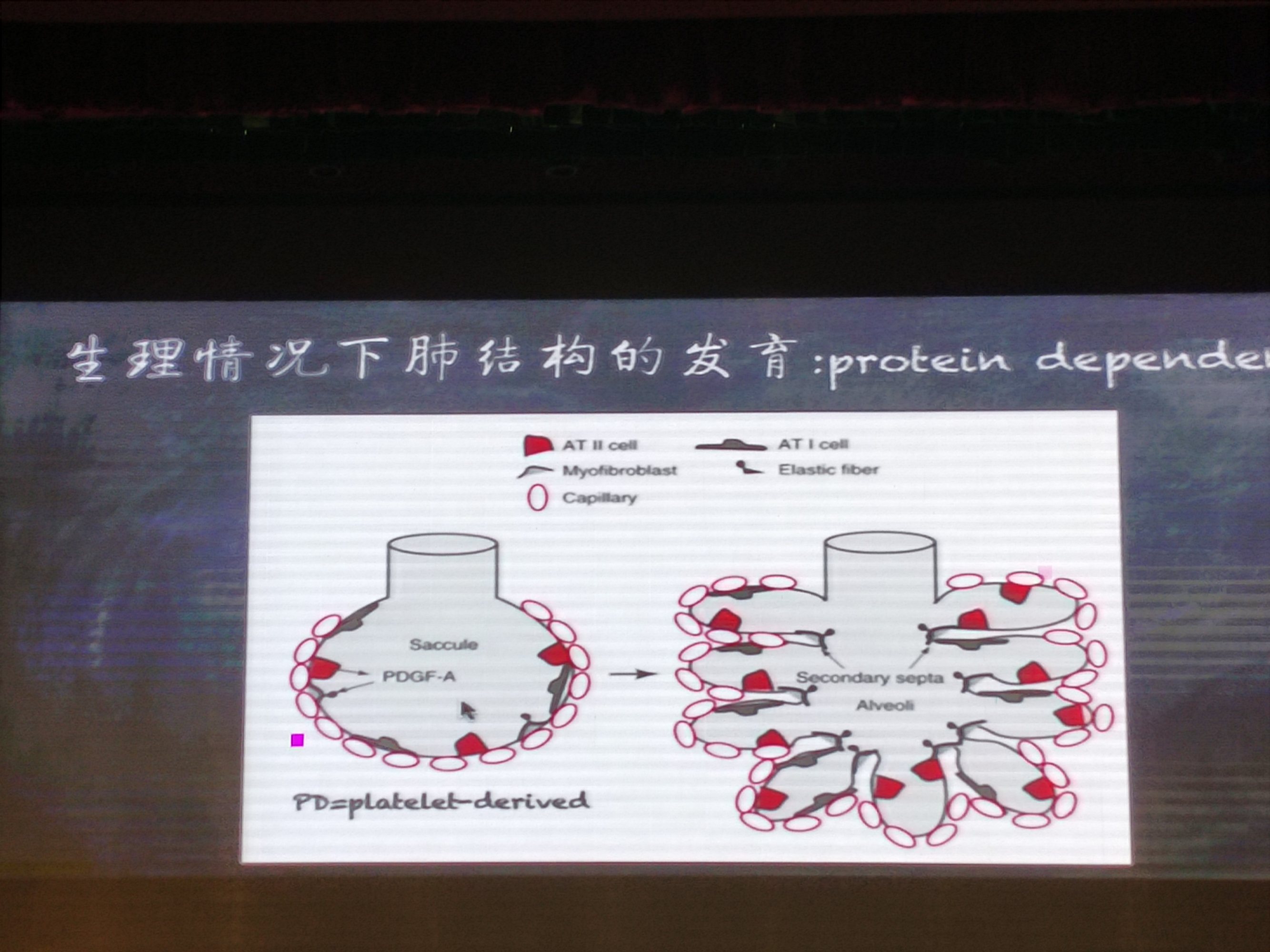 身体训练_儿童灵敏协调性训练_身体灵敏性训练方法