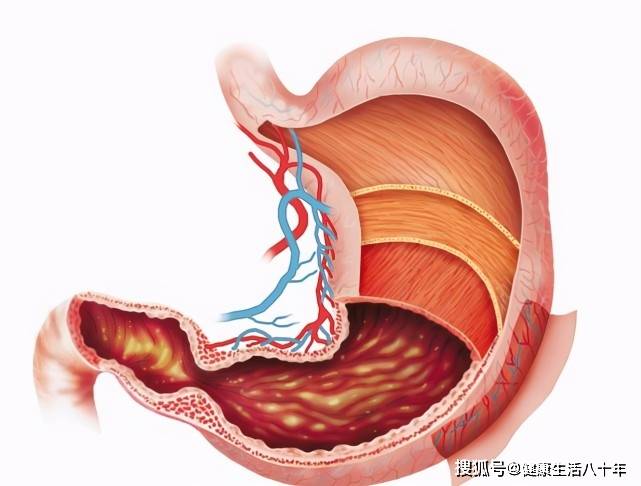 身体特别虚怎么锻炼_锻炼身体的好_身体疲惫时应该锻炼