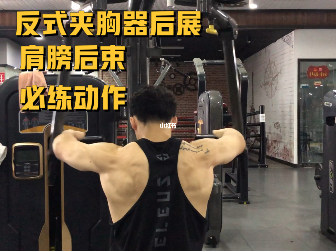 哑铃练三角肌后束_练三角肌后束_健身房练三角肌后束