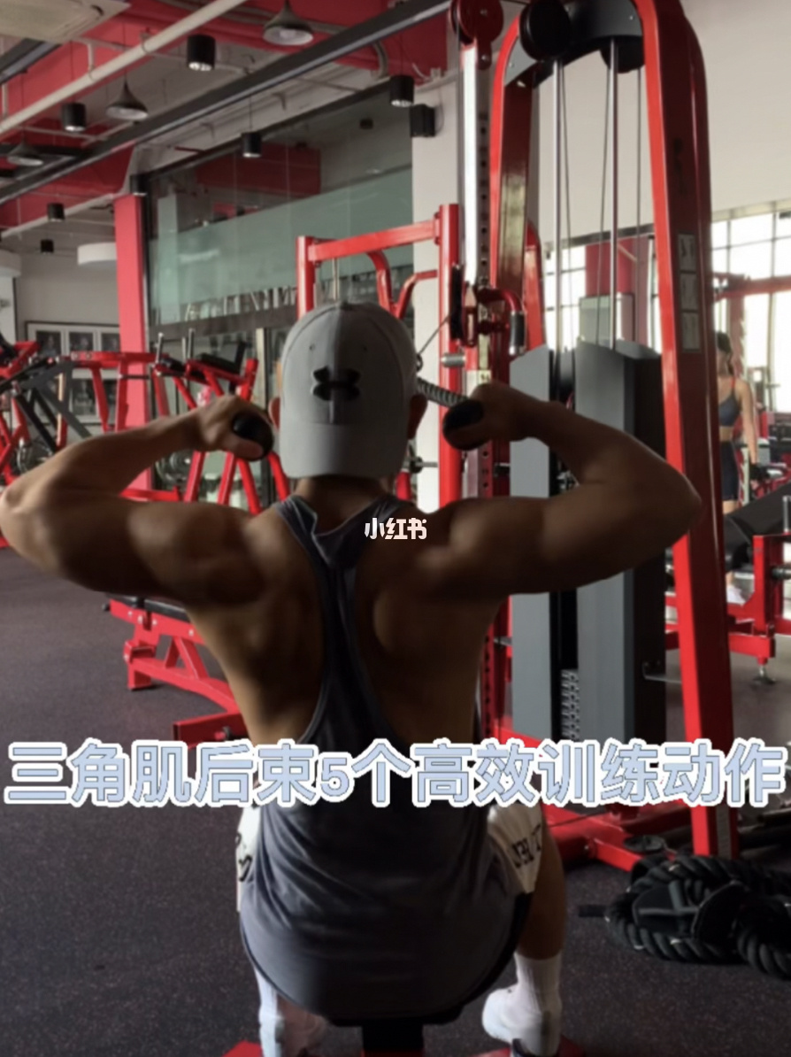 哑铃三角后束锻炼_练三角肌后束的动作_健身房练三角肌后束