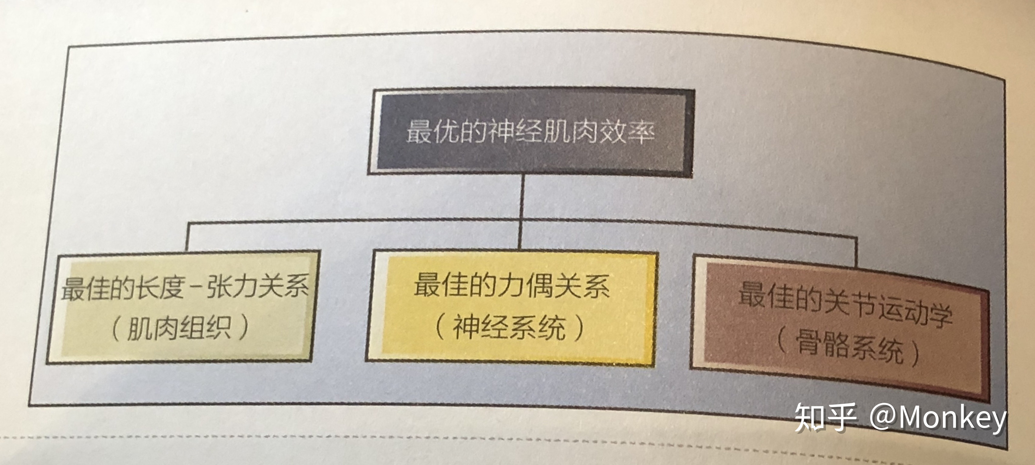 锻炼脸部肌肉的方法图_胫骨前肌锻炼方法和图_胫骨前肌锻炼