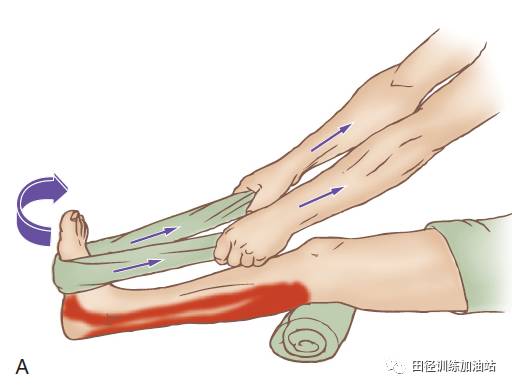 胫骨前肌锻炼方法和图_锻炼脸部肌肉的方法图_胫骨前肌锻炼