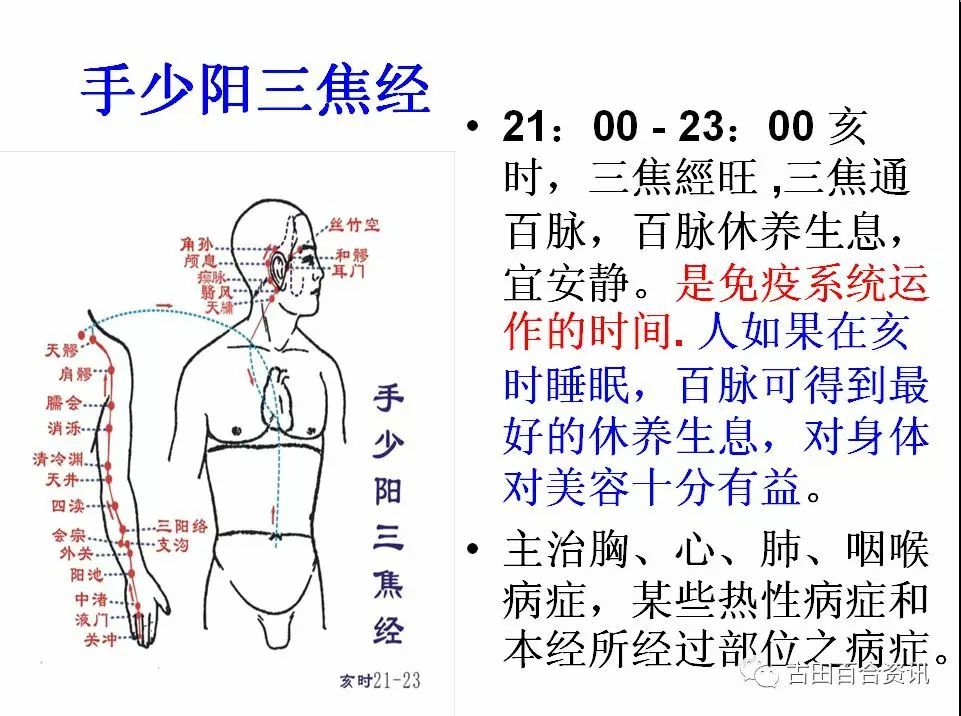 312经络锻炼治疗癌症_特效312经络锻炼养生法_健康312经络锻炼法的内容