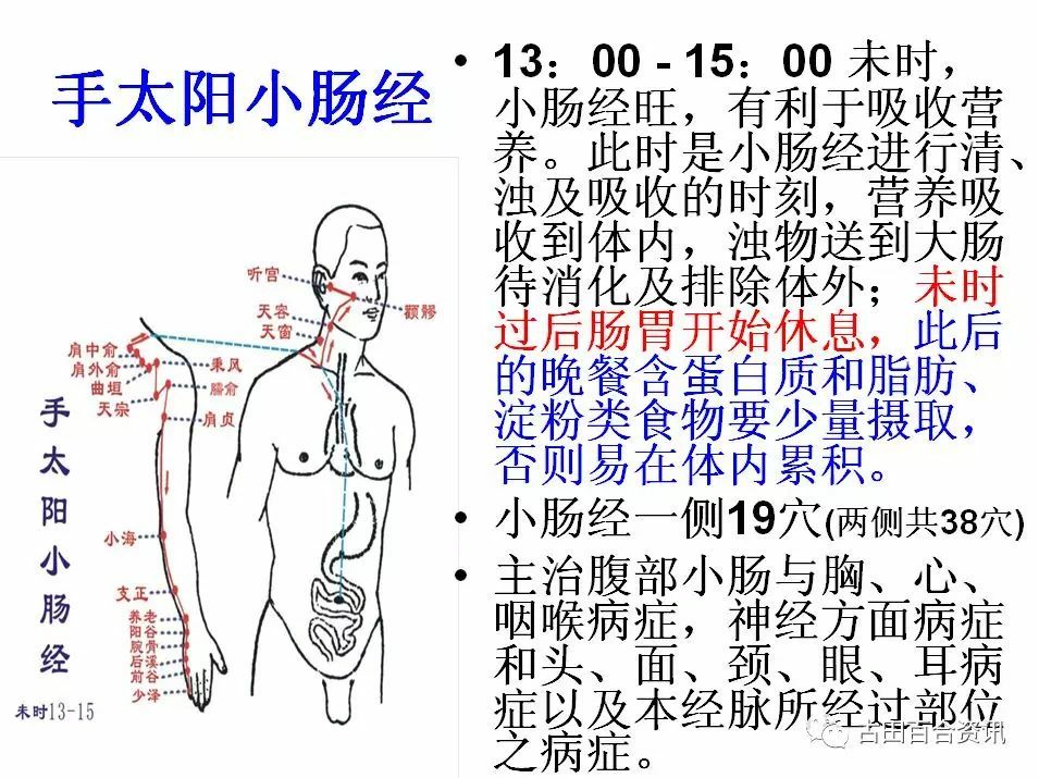 312经络锻炼治疗癌症_特效312经络锻炼养生法_健康312经络锻炼法的内容