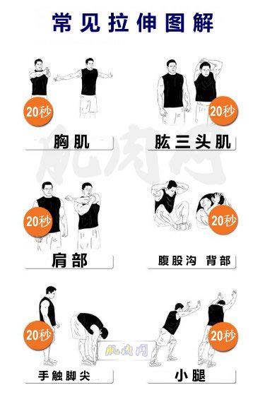 运动后拉伸动作视频_运动过后拉伸动作_健身房运动前拉伸动作