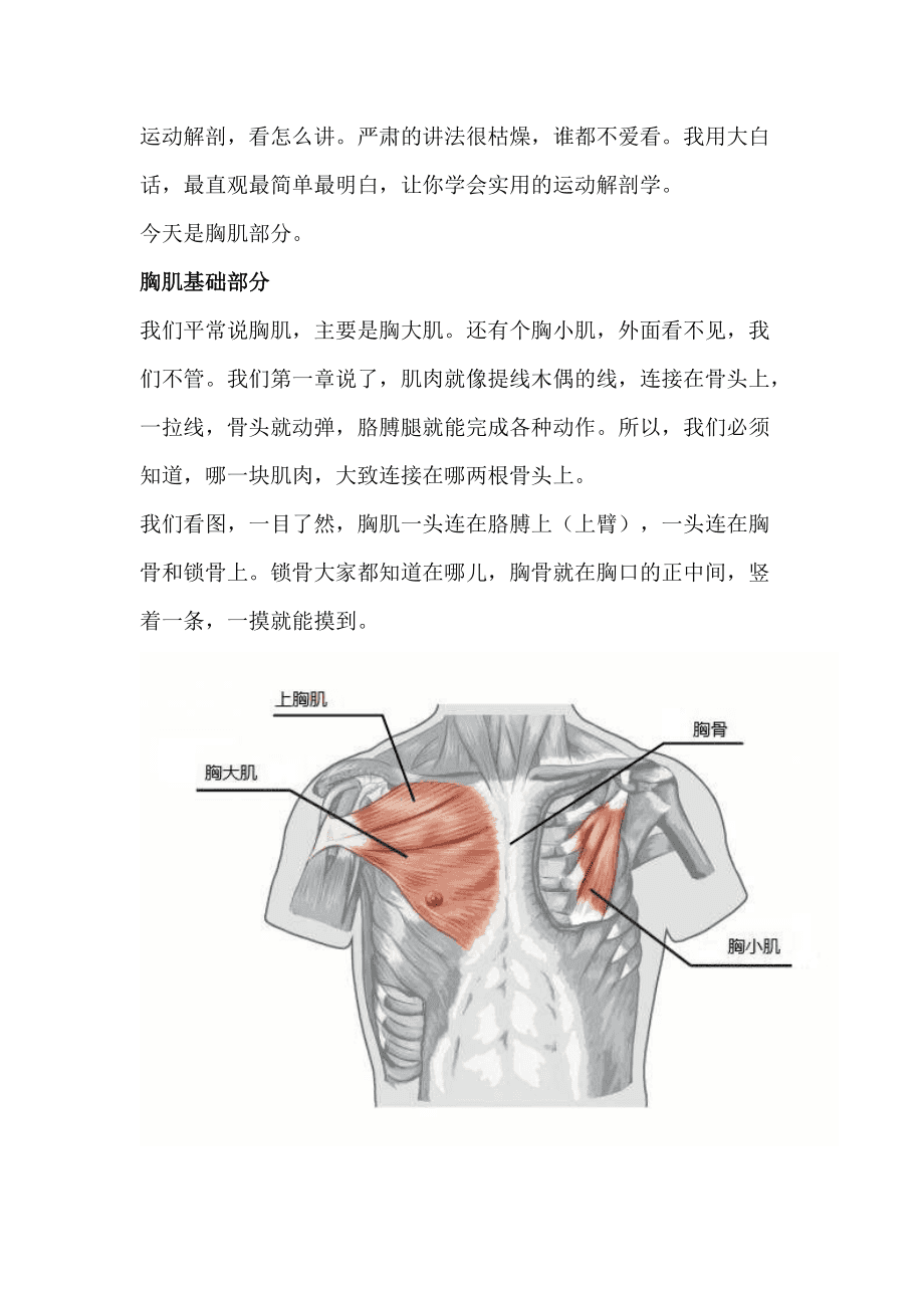 锻炼腿部肌肉的方法_锻炼胸大肌最有效的方法_锻炼腿部内侧肌肉的方法