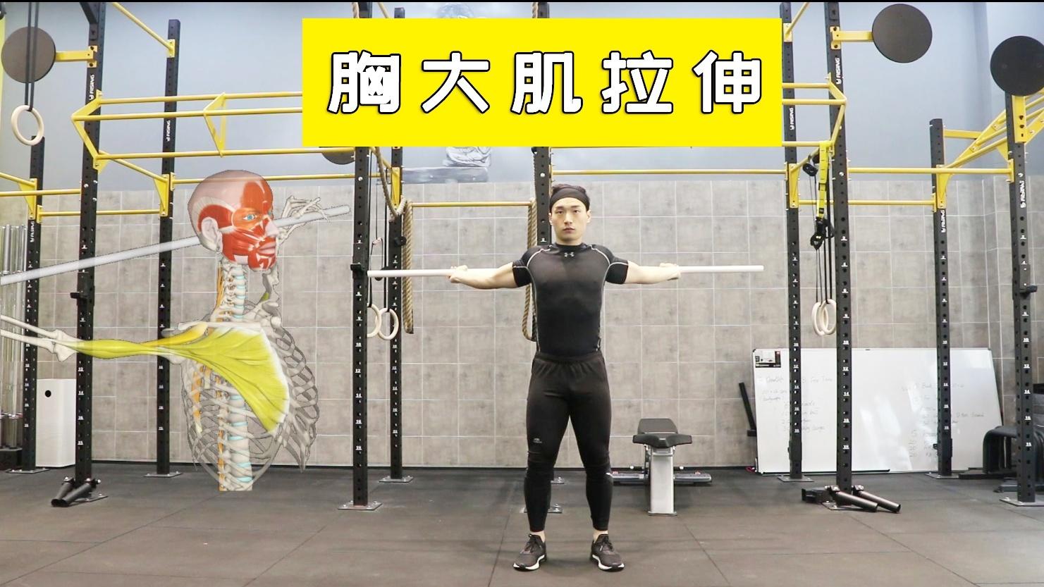 健身私教总拉伸摸大腿_健身后为什么要拉伸_健身腿部肌肉拉伸