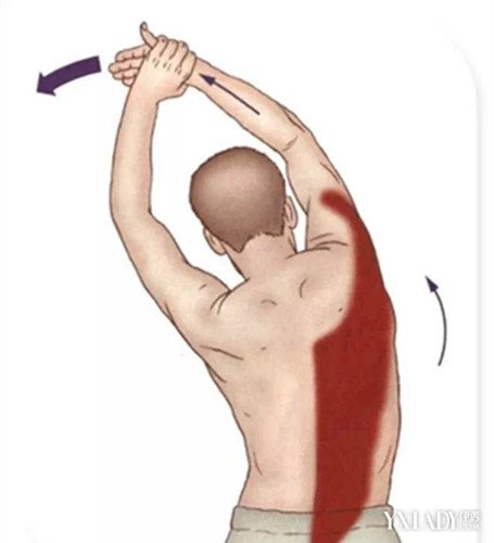 健身后不拉伸的后果_健身后为什么要拉伸_健身私教拉伸 身体接触