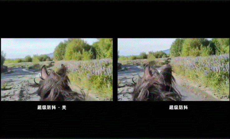 朱之文坐客艺术人生全部视频_朱之文用小乌龟挑战鬼手全部视频_朱之文驼铃全部视频