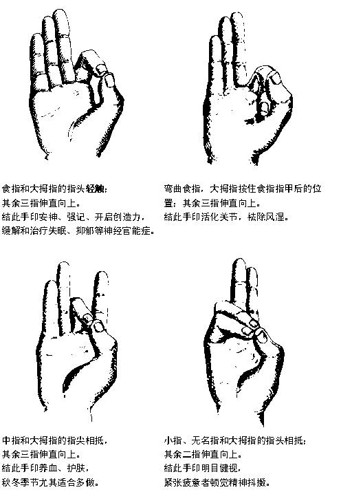 女性手臂力量训练方法_女性手臂力量训练方法_女性手臂训练动作