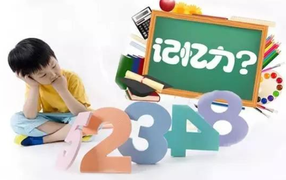 什么app可以训练记忆力_精英特速读记忆训练app_训练记忆力的app