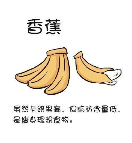 家里腿部肌肉锻炼_做什么运动锻炼腿部肌肉_腿部肌肉锻炼方法