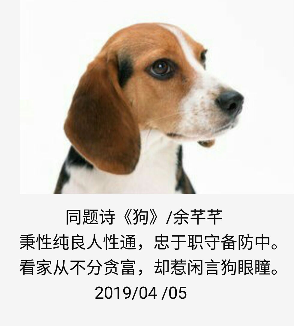 开心鬼上错身百度网盘_换错身爱对人泰剧 网盘_错身姐妹 百度影音