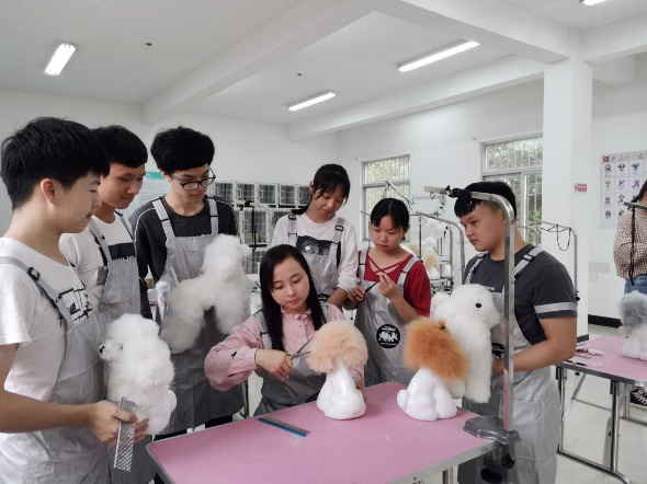 造梦西游3怎么给宠物学技能_魔兽世界宠物对战怎么用不了技能_上哪学宠物对战技能