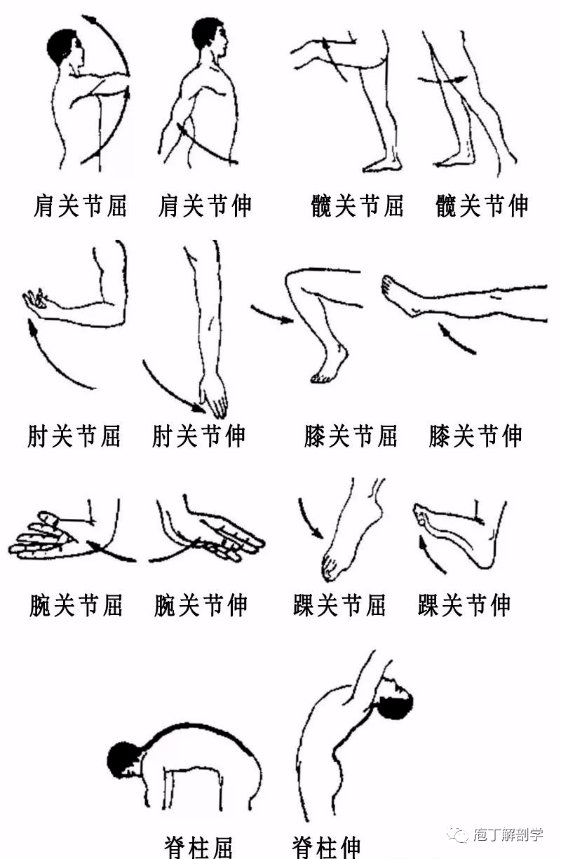 保护膝盖的运动方法_膝盖运动方法_保护膝盖的运动