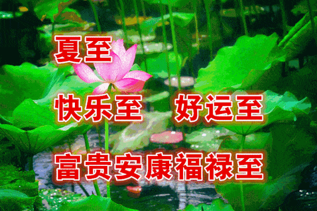 开始怀疑人生的表情包_我开始有点方表情包_我开始怀疑人生表情包