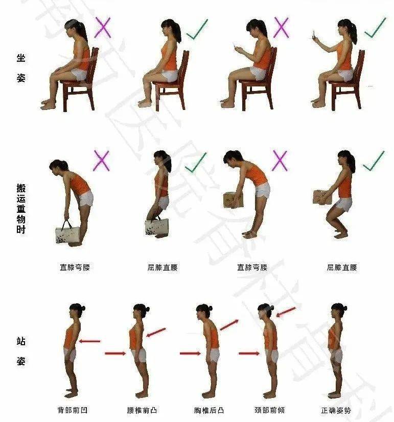 腰椎间盘突出症的锻炼方法_腰椎间盘怎么锻炼图片_腰椎间盘突出怎么锻炼