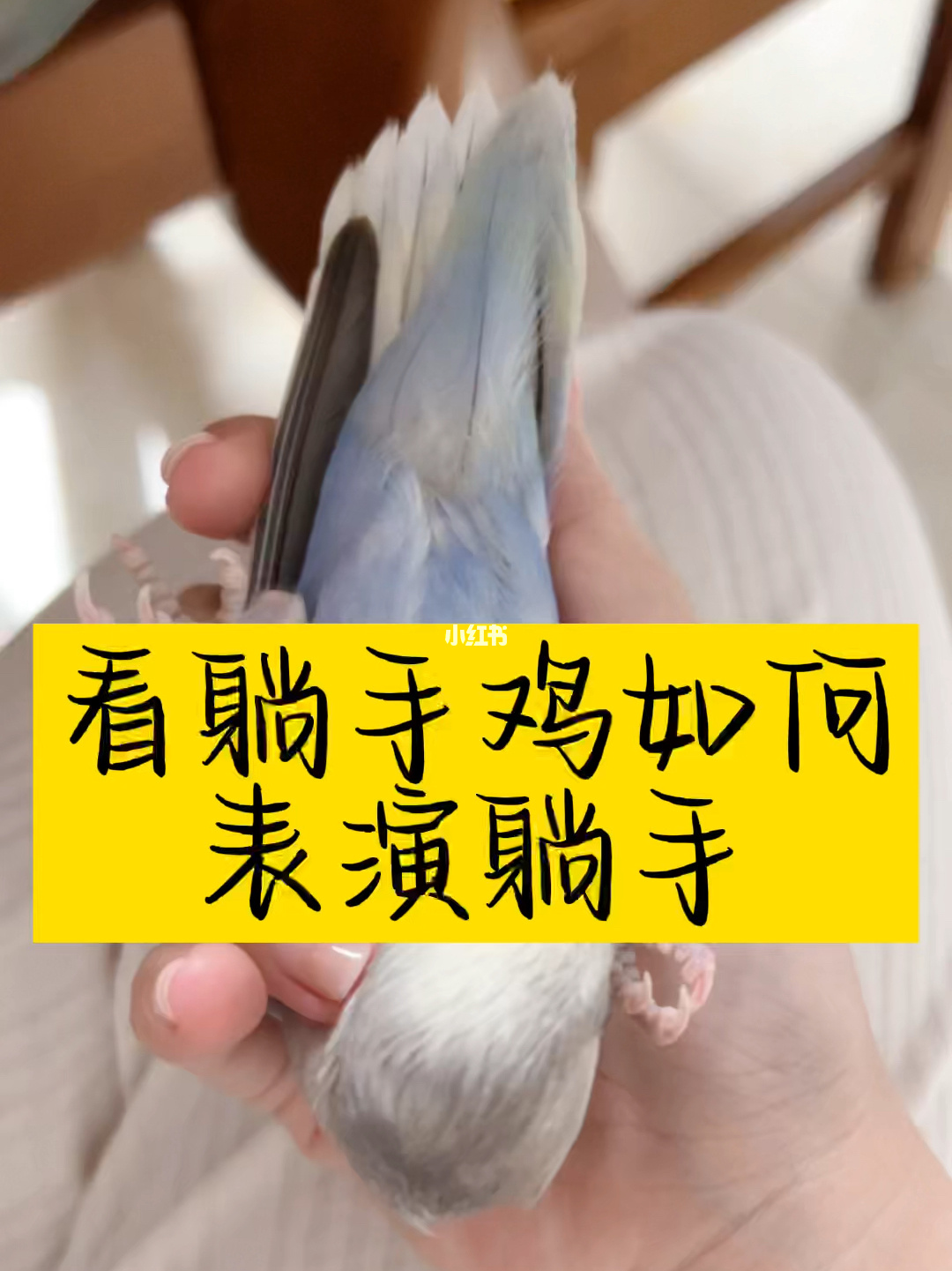 练反应速度的小游戏_怎样练踢腿速度_怎样练肺活量和耐力和速度