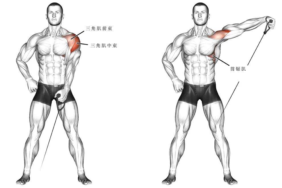 3角肌锻炼方法图解视频_男性pc肌锻炼方法视频_三角肌后锻炼方法视频