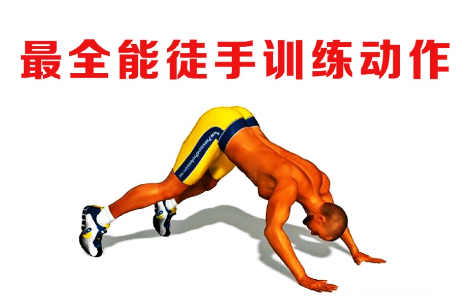 徒手健身真的练不出大肌肉吗_徒手深蹲练什么肌肉_徒手健身天天练好吗
