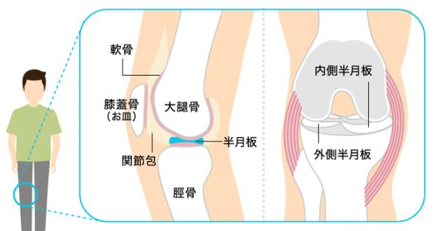 半月板损伤还能跑步吗_心肌损伤还能活多久_黄疸引起听力损伤还能恢复吗