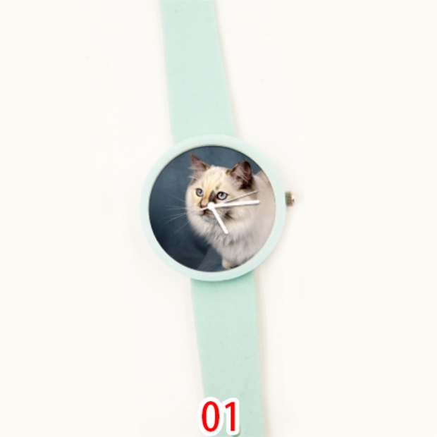糖猫m1好还是m2好_糖猫和荣耀小k那个好_360好还是糖猫好