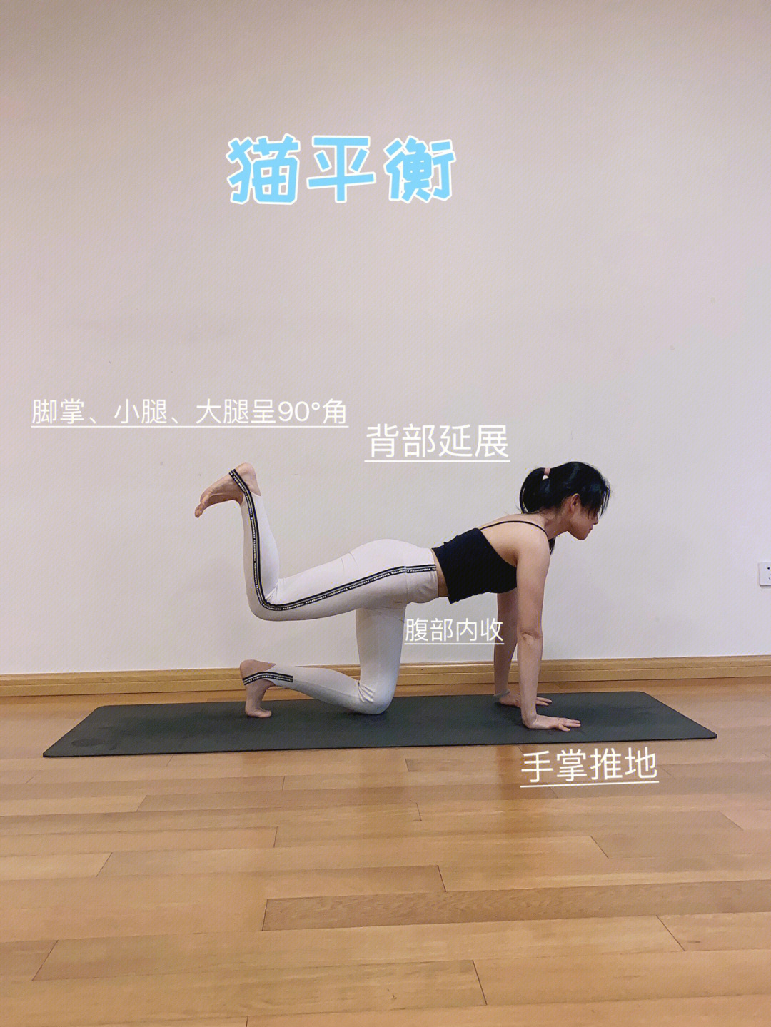 腰部肌肉训练十大经典动作_背部肌肉训练十大经典动作_小腿肌肉训练动作图片