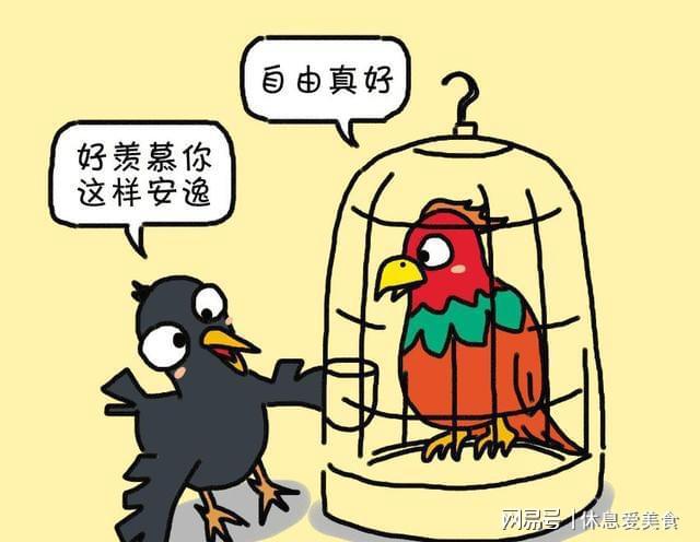 大k和小梅的故事_小笨鸟故事道理_小故事大道理下载
