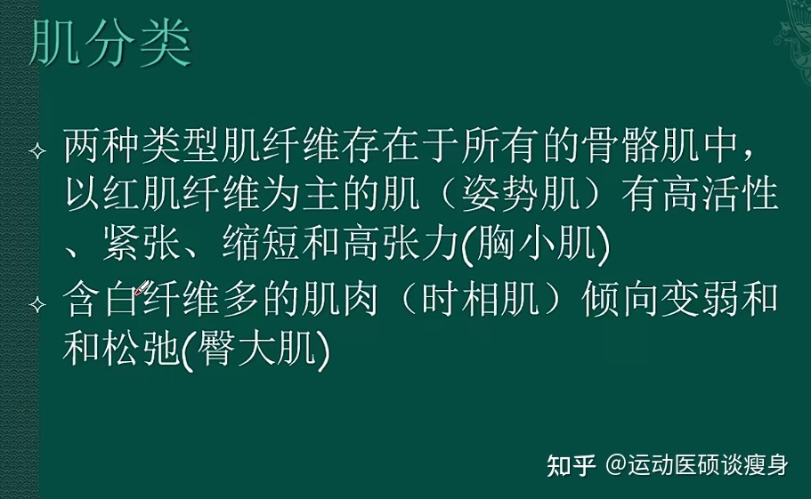健美中断后肌肉变小_世界女子健美肌肉健美大赛_韩国肌肉美女结实肌肉健美视频
