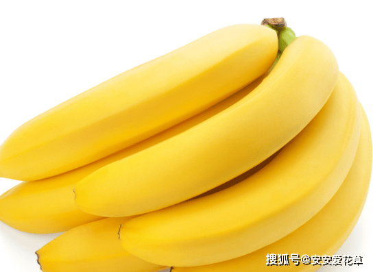 梨状肌的最佳锻炼方法视频_斜方肌锻炼方法视频_三角肌后锻炼方法视频