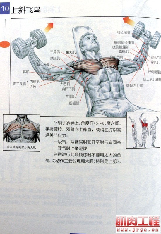 握力器锻炼有什么用_握力棒锻炼方法视频_握力棒锻炼胸肌视频
