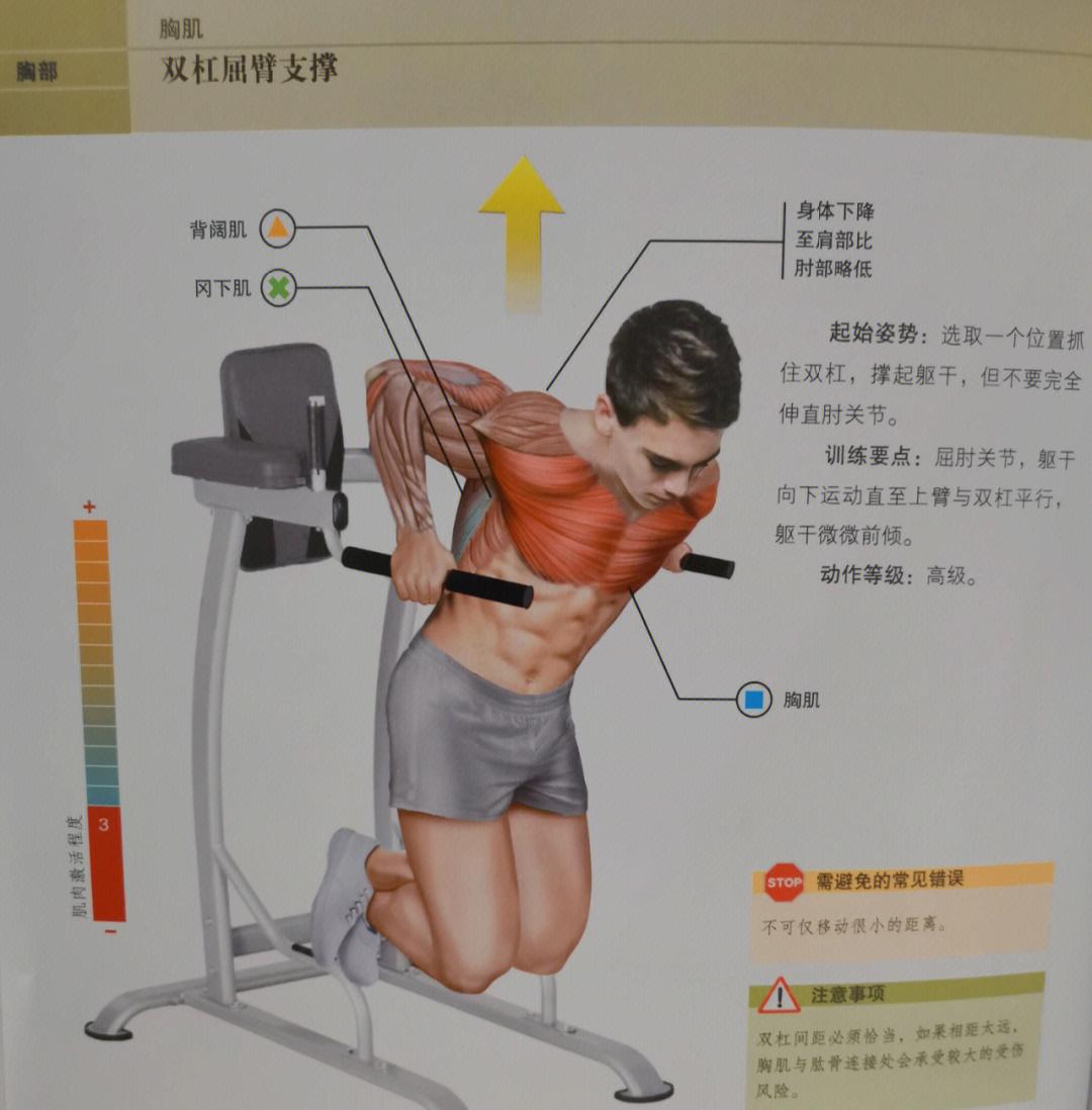 握力棒锻炼胸肌视频_握力器锻炼有什么用_握力棒锻炼方法视频