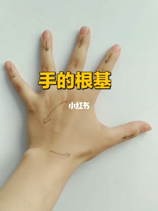 健身手腕疼要多久恢复_孕晚期手腕疼像扭伤疼_打球手腕疼 恢复