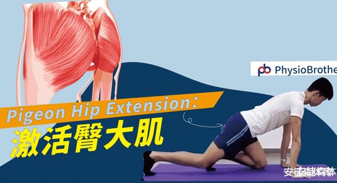 臀中肌臀小肌练饱满_臀中肌和臀小肌怎么练_臀中肌臀小肌训练方法