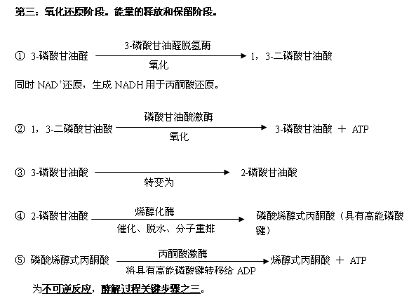 dnf走路剑有残影是怎么弄的_走路是有氧运动吗_运动后过量氧耗和氧亏