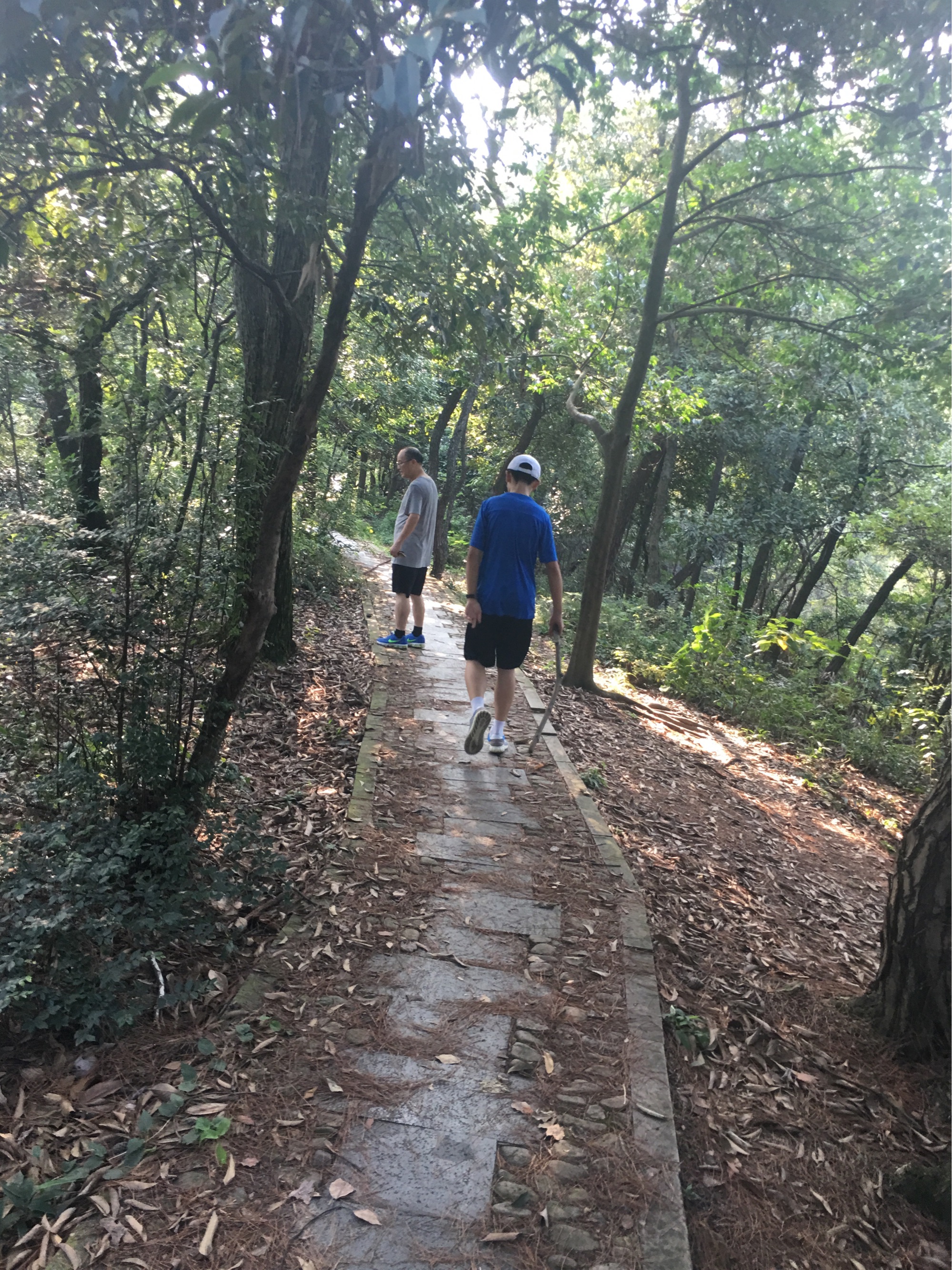二息步行来在哪个游戏_小班走平衡木的教案_徒步行走最好通过摆臂来平衡身体