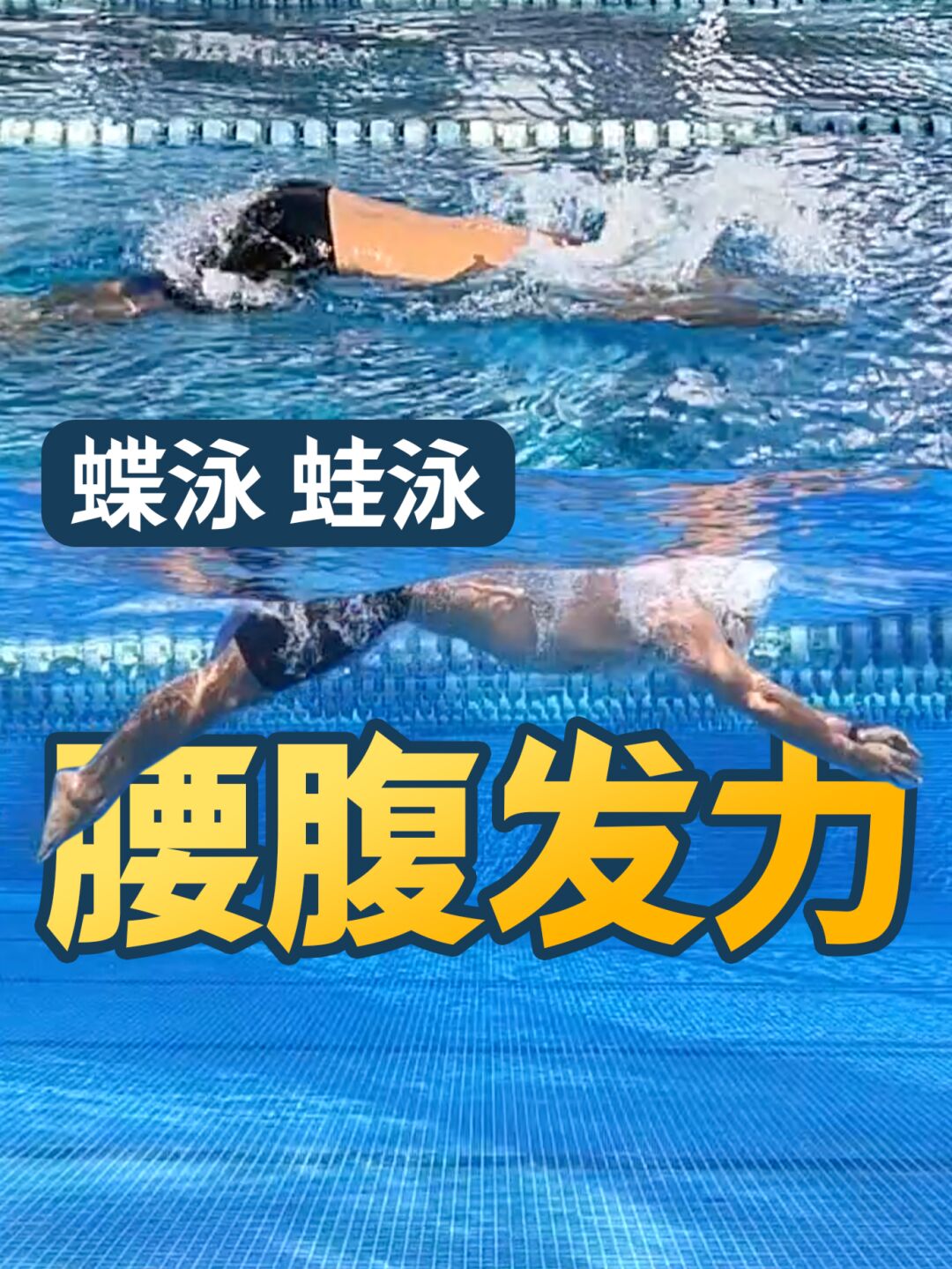 自由泳身体转动技巧_水平桌面上自由转动_自由泳身体转动技巧