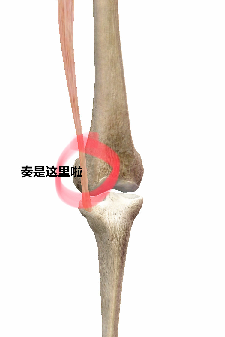 转髋跳是高冲击动作吗_坐姿髋外展是高危动作_训练髋关节的20个动作