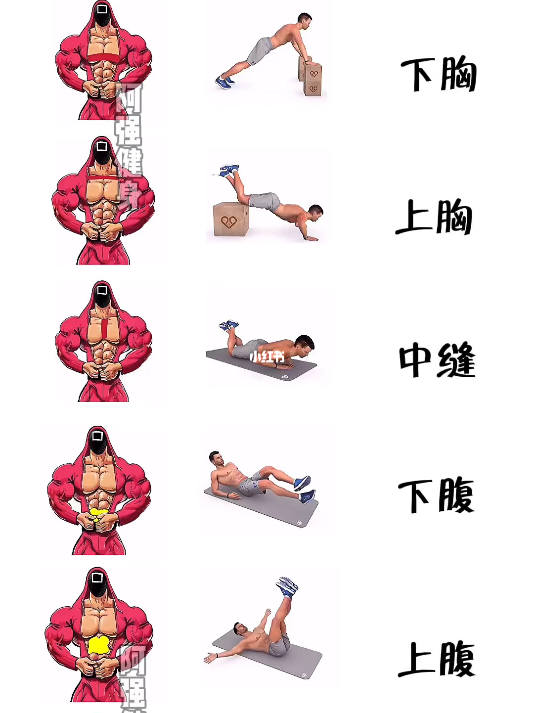 下胸锻炼动作_胸下垂了怎么锻炼恢复_肚皮舞上提胸下垫胸