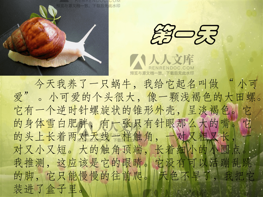 观察日记100字小动物_观察日记动物100字大全_观察日记动物小猫100字