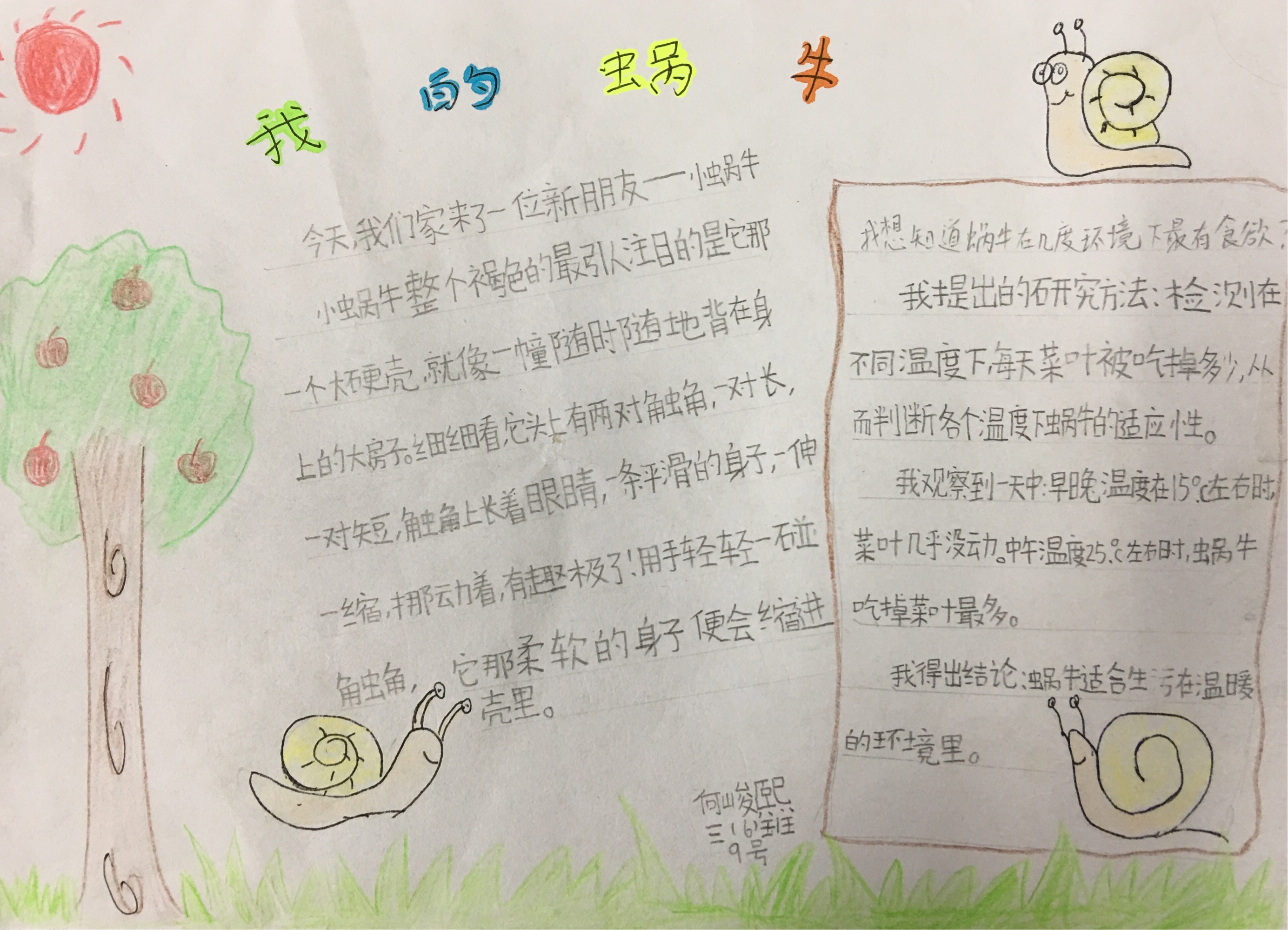 观察日记动物100字大全_观察日记100字小动物_观察日记动物小猫100字