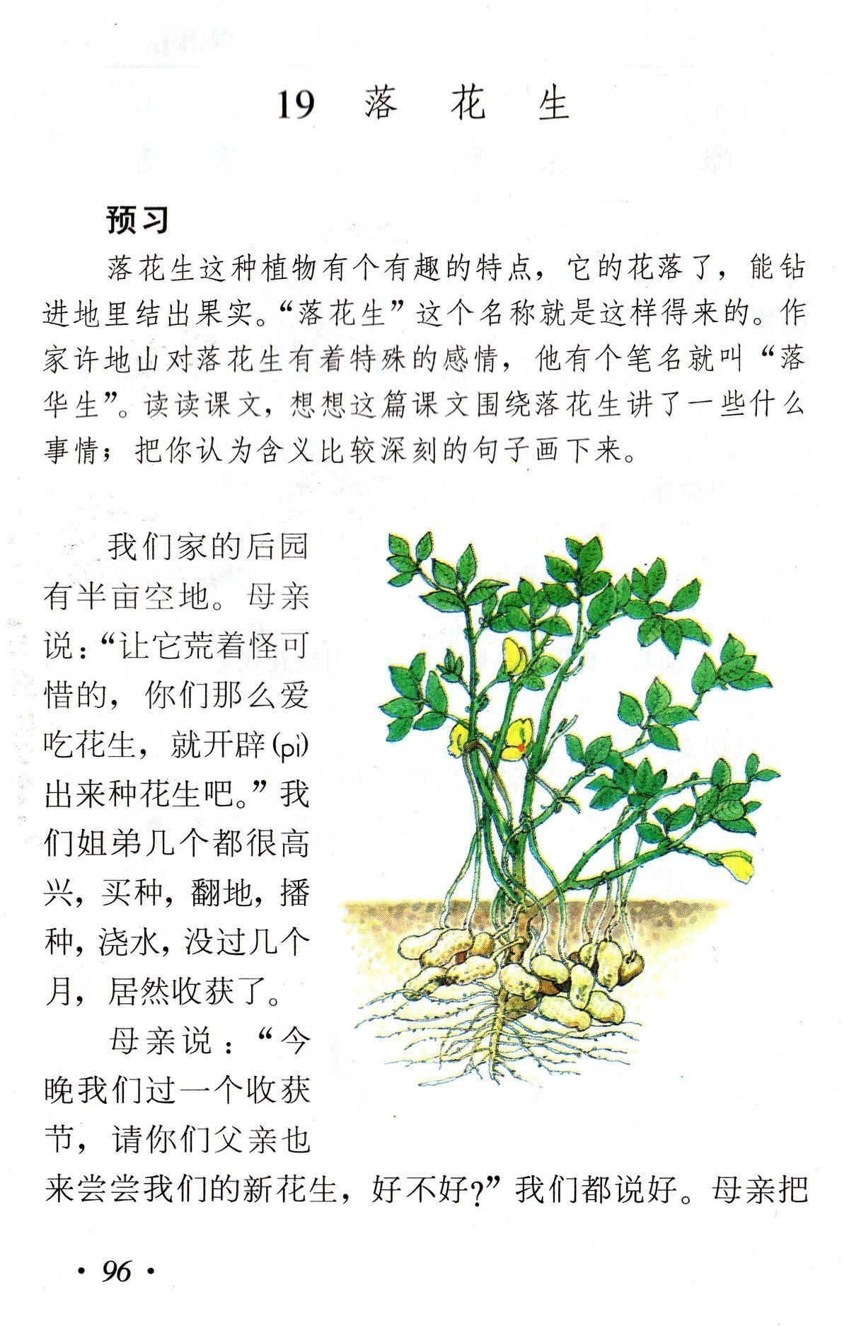 小陶土阅读答案四年级答案_我唯一的小松鼠阅读答案_松鼠小贱是三只松鼠吗