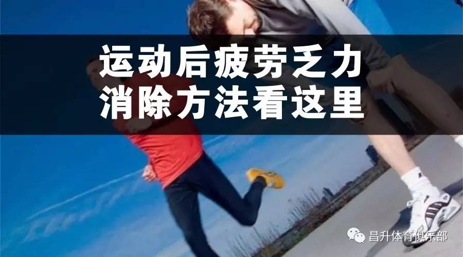 锻炼没有劲_劲肌怎么锻炼方法_平时没锻炼体前屈30里面