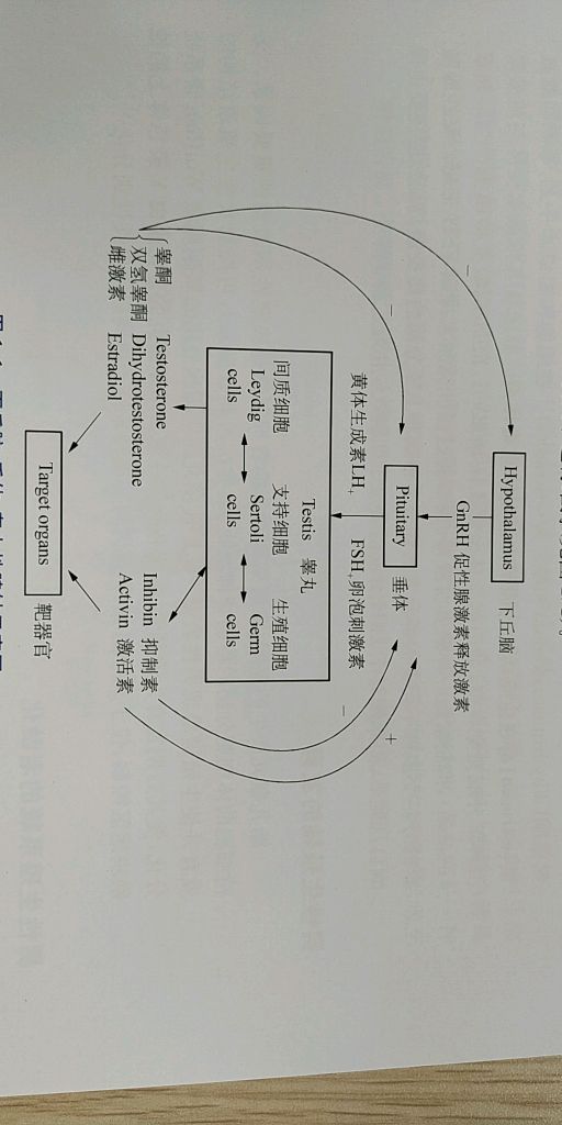 过度锻炼的危害_怎样判断锻炼身体过度_锻炼过度肌肉酸痛