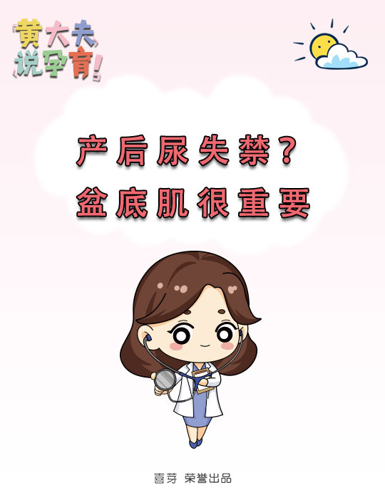 孕妇骨盆底肌训练图_凯格尔盆底肌训练什么时候做_盆底肌训练最好的方法