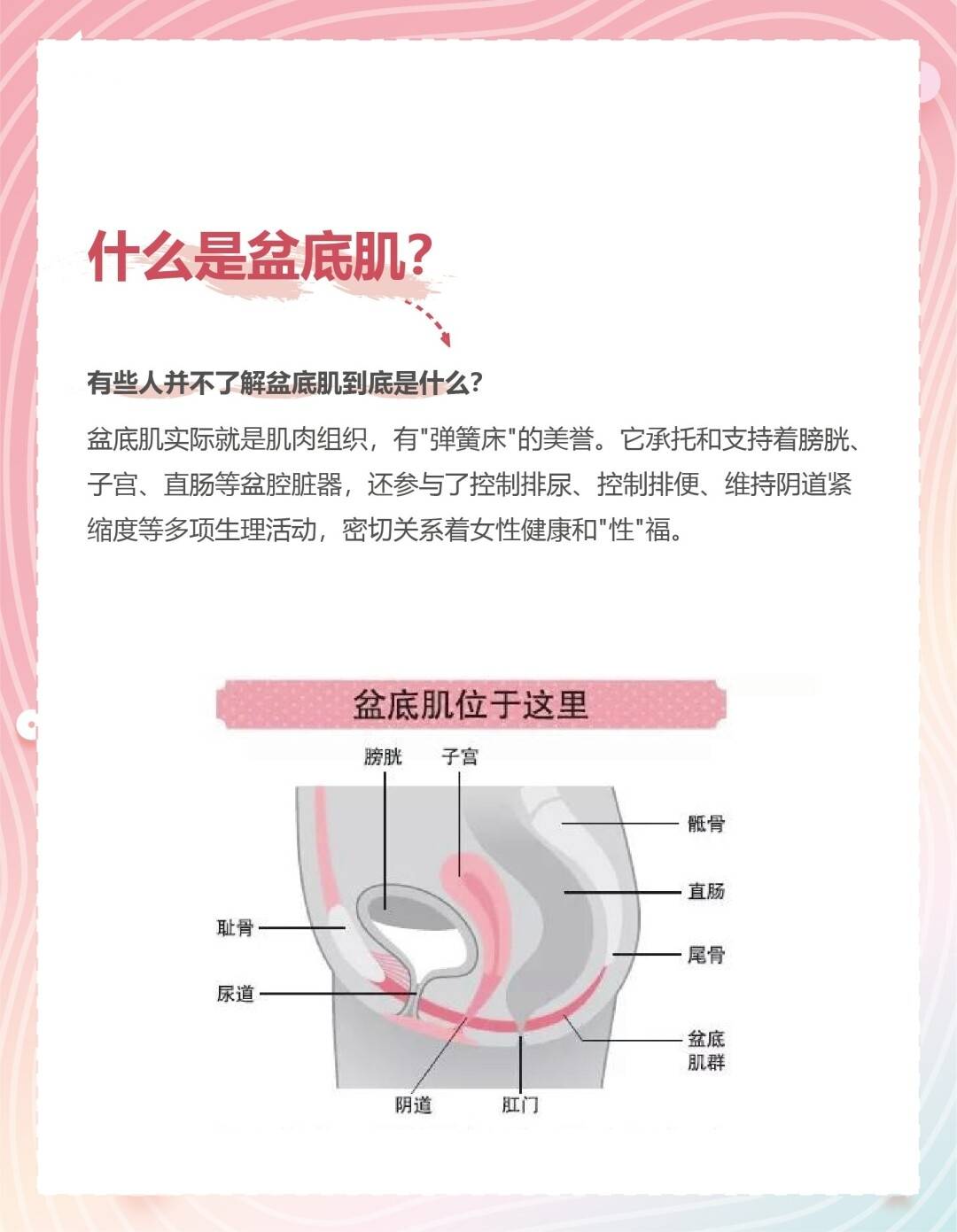 凯格尔盆底肌训练什么时候做_盆底肌快肌训练_瑜伽盆底肌训练视频