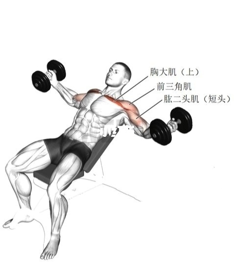 有鸡胸练出胸肌是什么样子_有鸡胸练出胸肌是什么样子_俯卧撑练胸肌有用吗