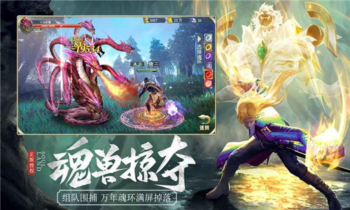 斗罗大陆rpg英雄攻略_新斗罗大陆a+英雄哪个好_新斗罗大陆攻略英雄