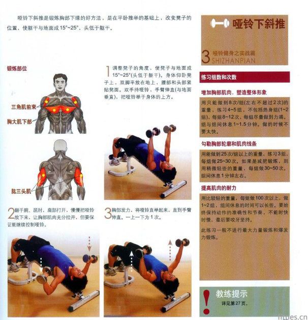 锻炼多长时间才长肌肉_如何锻炼肌肉长得快_如何锻炼肌肉长得快